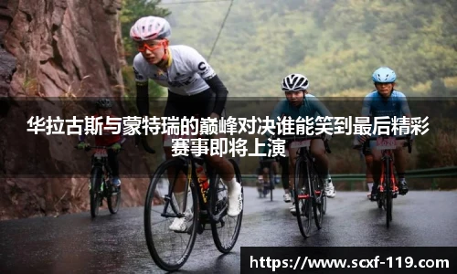 中欧体育官网