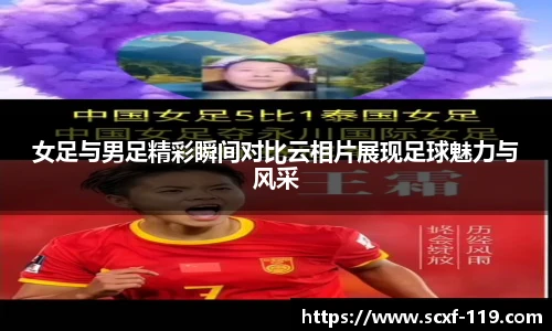 中欧体育平台